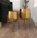Round Metal Planter Pots – Golden, Set of 2 for Indoor & Outdoor Use