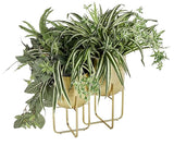 DHARA DECOR Round Shape Metal Indoor & Outdoor Large Golden Planter Pot for Living Room Bedroom & Interior Balcony Set of 2