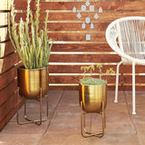 DHARA DECOR Round Shape Metal Indoor & Outdoor Large Golden Planter Pot for Living Room Bedroom & Interior Balcony Set of 2